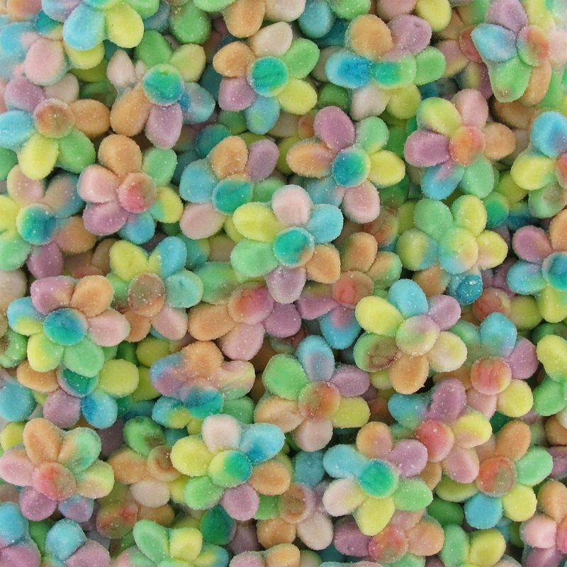 Dulceplus Fleurs Multicouleurs 1kg